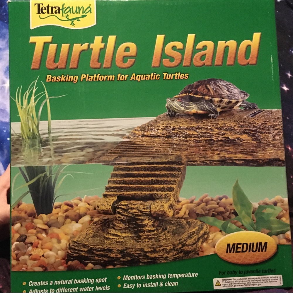 Turtle island